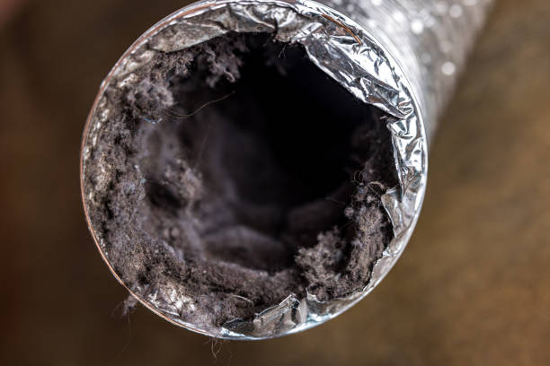 Best Affordable Duct Cleaning Services  in Forestville, CA