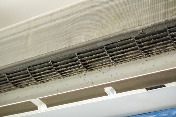 Best Best Air Duct Cleaning Company  in Forestville, CA